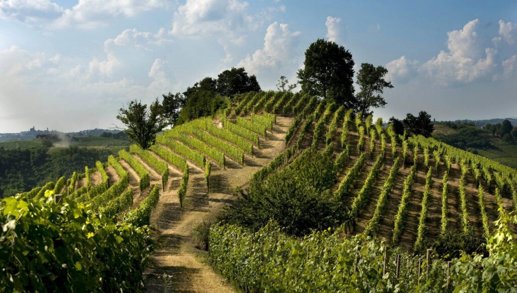 Tra le rocche del Roero: Monteu Roero – montà d’Alba (Roero)